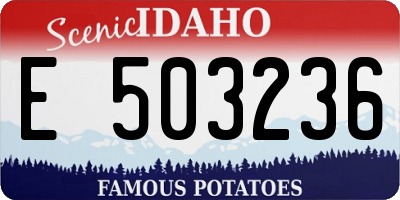 ID license plate E503236