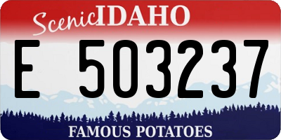ID license plate E503237