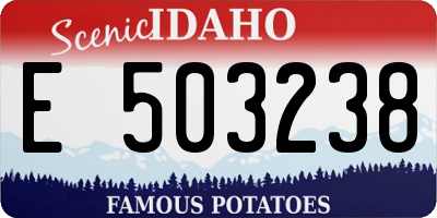 ID license plate E503238