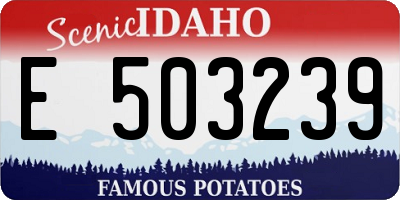 ID license plate E503239