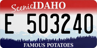 ID license plate E503240