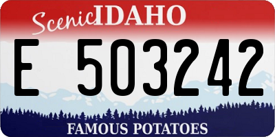 ID license plate E503242
