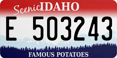 ID license plate E503243