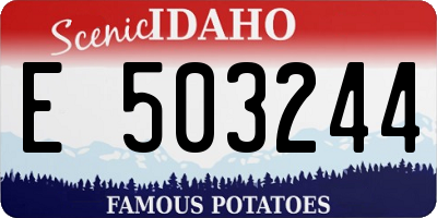 ID license plate E503244