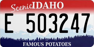 ID license plate E503247