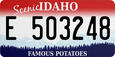 ID license plate E503248
