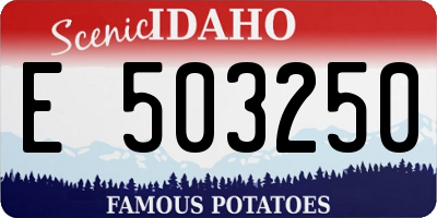 ID license plate E503250