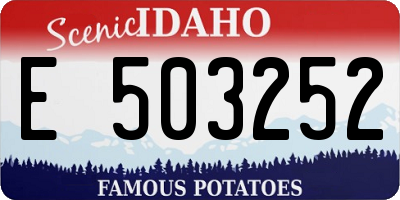 ID license plate E503252