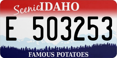 ID license plate E503253