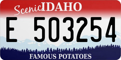 ID license plate E503254