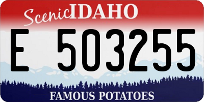 ID license plate E503255
