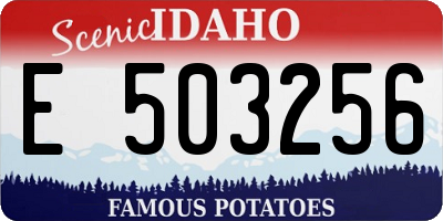 ID license plate E503256