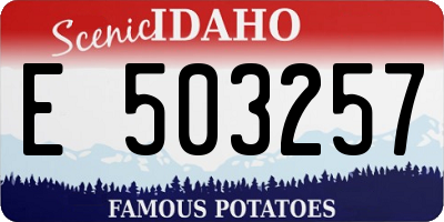 ID license plate E503257
