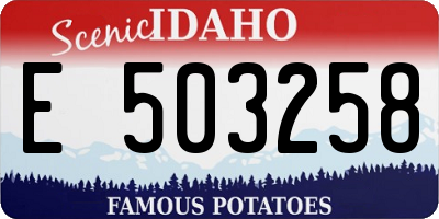 ID license plate E503258
