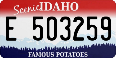 ID license plate E503259