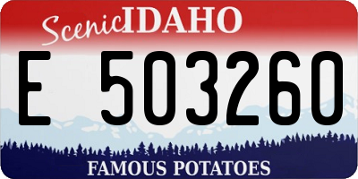 ID license plate E503260