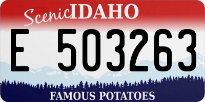 ID license plate E503263