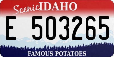 ID license plate E503265