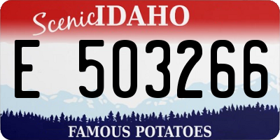 ID license plate E503266