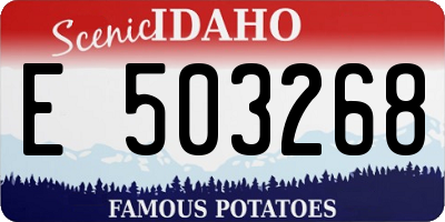 ID license plate E503268