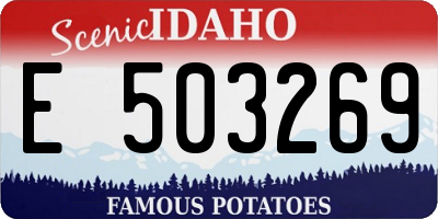 ID license plate E503269