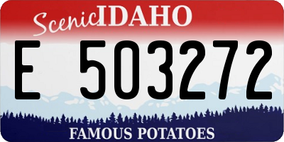 ID license plate E503272