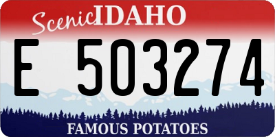 ID license plate E503274