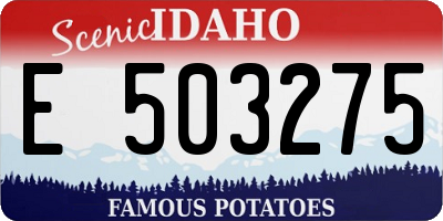 ID license plate E503275
