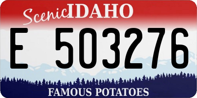 ID license plate E503276