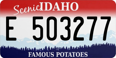 ID license plate E503277