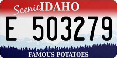 ID license plate E503279