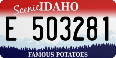 ID license plate E503281