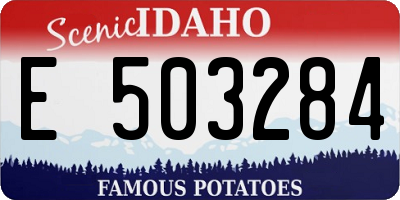 ID license plate E503284