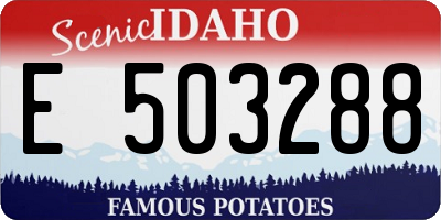 ID license plate E503288