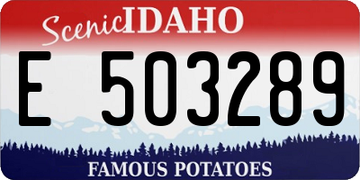 ID license plate E503289
