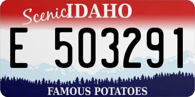 ID license plate E503291