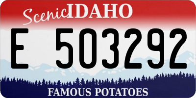 ID license plate E503292