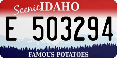 ID license plate E503294