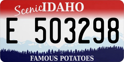 ID license plate E503298