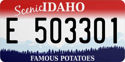 ID license plate E503301