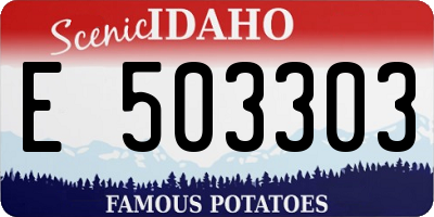 ID license plate E503303