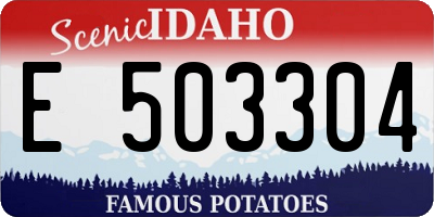 ID license plate E503304