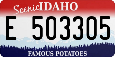 ID license plate E503305