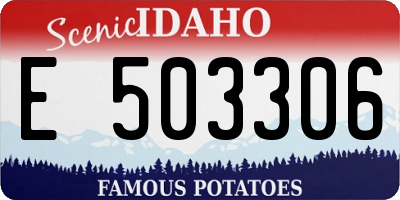 ID license plate E503306