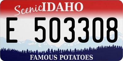 ID license plate E503308