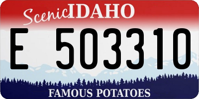 ID license plate E503310