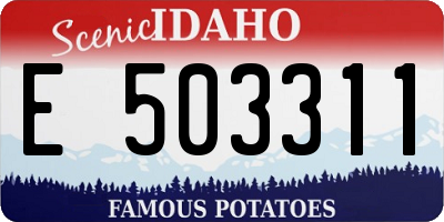 ID license plate E503311