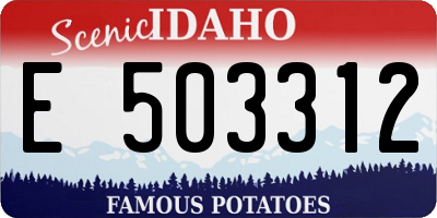 ID license plate E503312