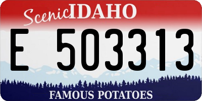 ID license plate E503313
