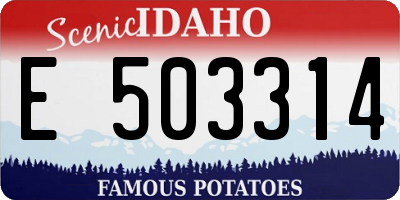 ID license plate E503314